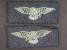 VELK� BRIT�NIE - RAF podd�stojnick� ramenn� n�ivky 2. sv. v�lka