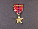 Bronzová záslužná hvězda + etue