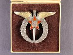 Odznak pilota, 1953-54 č. 2390, výrobce F. Provazník, punc Ag, ryzostní značka 800, etue