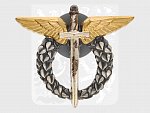 Odznak pilot, I.typ 1993 - 1995