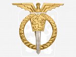 Odznak Pilot mistr