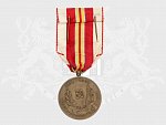 Bronzová medaile IV. pluku Stráže svobody