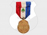 Řád za zásluhy, medaile I. třídy, pozlacené stříbro, na hraně punc Ag, 2. typ, francouzský a a rabský nápis, založen 1922