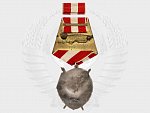 Řád rudého praporu č. 524342