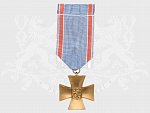 Pamětní odznak ČS dobrovolce z let 1918-19