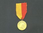 Zlatá pamětní medaile partyzánské organizace generála dr. Koutňáka–Vela