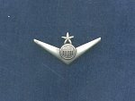 Letecký odznak USAF