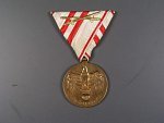 Pamětní medaile na první sv. válku s meči na stuze