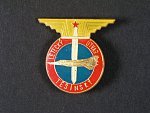 Odznak Těšínského leteckého útvaru