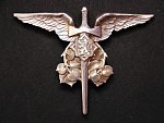 Odznak polní letounový pozorovatel zbraní, Ag punc, cislovany, vzacny