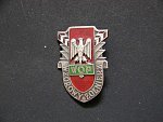 Odznak WZOROVWY ZOLKNIERZ