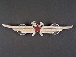 Odznak třídního specialisty letectva 1954-68. Pozemní technik č.2972