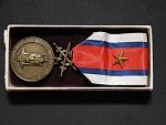Bronzová medaile DOK za věrné služby 1918-1919 , etue + dekret