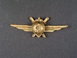 Odznak třídního specialisty letectva 1954-68. Pilot 1tř.