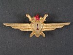 Odznak třídního specialisty letectva 1954-68. Pilot 1tř. č.224
