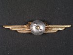 Odznak třídního specialisty letectva 1954-68. Palubní radista 3tř. č.569