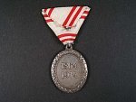 Stříbrná čestná medaile za zásluhy o červený kříž s válečnou dekorací, Ag