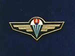 Odznak výsadkářů - nezavedený MISTR na služební uniformu