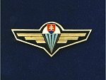 Odznak výsadkářů - nezavedený INSTRUKTOR na služební uniformu
