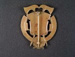 Pamětní odznak 10. střeleckého pluku J.S.Koziny