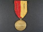 Zlatá pamětní medaile partyzánské organizace generála dr. Koutňáka–Vela
