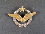 Francouzský pilotní odznak č.19551