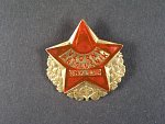 Odznak vzorný příslušník SNV-ČSR