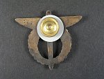Odznak pilot, I.typ 1993 - 1995