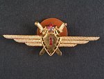 Odznak třídního specialisty letectva 1954-68. Pilot 1tř., č.1095, poškozený smalt