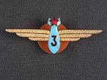 Odznak letovoda 3.tř. 1954-68. tmavěmodrý smalt, č.0591