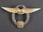 Pilotní odznak pro ČS. sportovní letce z r. 1946 č.1207, punc Ag