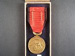 Pamětní medaile dělostřelectva čs. vojska na rusi + dekret