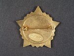 Odznak partyzanskeho svazku Čapajev, číslovaný 0137, zn. výrobce Zukov Praha