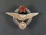 Jugoslávský letecký odznak, punc Ag