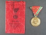 Pamětní medaile na I. sv. válku, slabší varianta, síla 3 mm + dekret a udělovací sáček