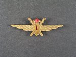Odznak třídního specialisty letectva 1954-68. Pilot 1tř., č.0781