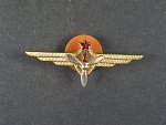 Odznak třídního specialisty letectva 1954-68. Palubní technik 1tř.