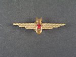Odznak letovoda beztřídního, původně dělostřeleckého leteckého pozorovatele č.446
