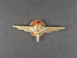 Odznak třídního specialisty letectva 1954-68. Palubní technik 1tř.