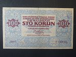 100 Kč 1919 série 0017