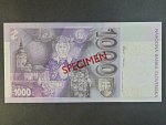 1000 Sk 2007 série P 00000000, anulát číslo 0091 s přetiskem VZOR