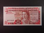 1 Pound 1983, BNB. B118c, Pi. 20C
