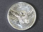 5 Dolarů 2015, 1oz 0.999 Ag, bez etue a certifikátu_