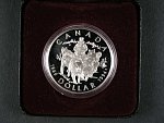Stříbrný 1 Dolar 1994