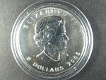 5 Dollars 2005 Maple Leaf 1 OZ Ag 999,9