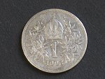 1 Koruna 1906