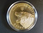 5 Euro 2023 Medvěd