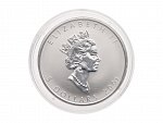 5 Dollars 2001 Maple Leaf 1 OZ Ag 999,9, rok Hada_