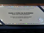 sada tří mincí 3,33 EURO 2025, fauna a flóra na Slovensku