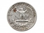 1/4 Dollar 1945_